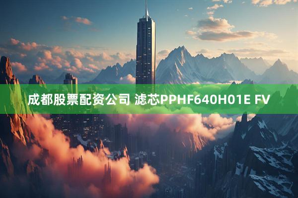 成都股票配资公司 滤芯PPHF640H01E FV